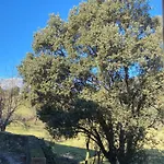 Calm & Nature - Adults Only