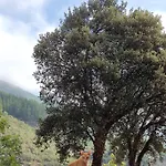Hotel Calm & Nature - Adults Only Cabezon de Liebana