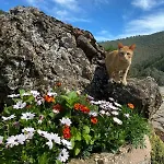 Hotel Calm & Nature - Adults Only Cabezon de Liebana