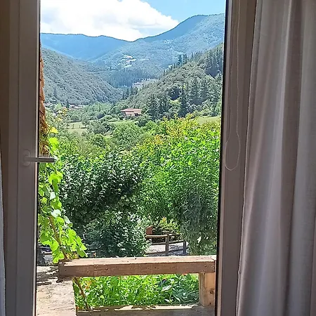 Calm & Nature - Adults Only