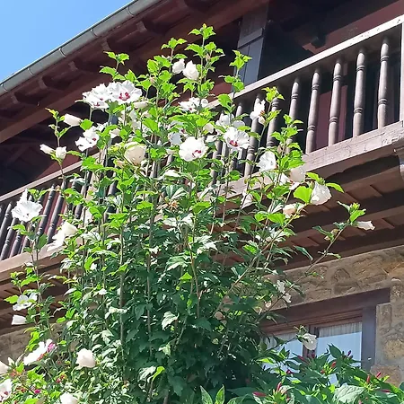 Hotel Calm & Nature - Adults Only