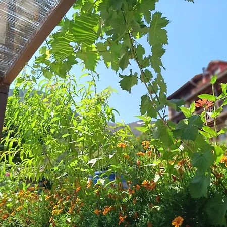 Calm & Nature - Adults Only 3* Cabezón de Liébana