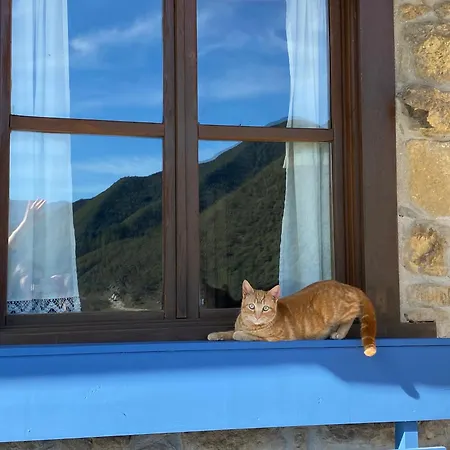 Calm & Nature - Adults Only 3*