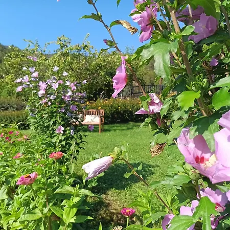 Hotel Calm & Nature - Adults Only 3*