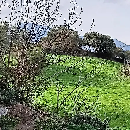 Calm & Nature - Adults Only