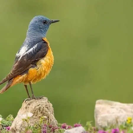 Calm & Nature - Adults Only Hotel Cabezón de Liébana