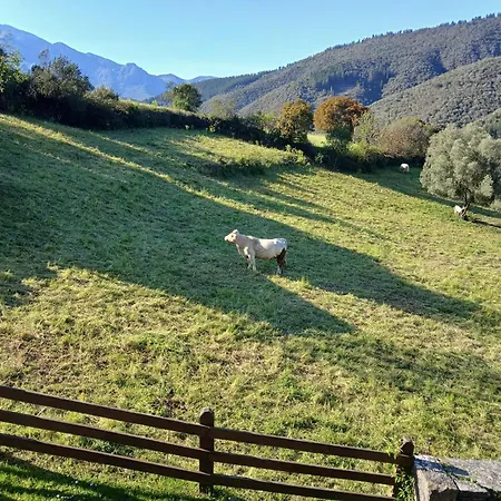 Calm & Nature - Adults Only