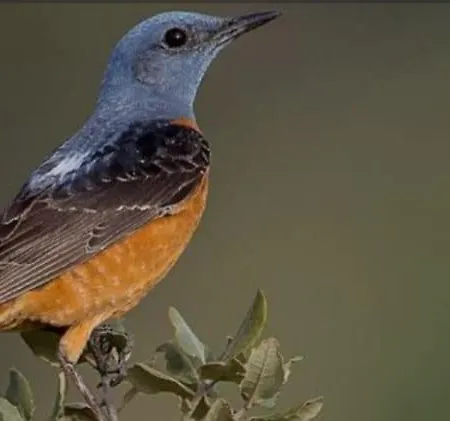 Calm & Nature - Adults Only Hotel