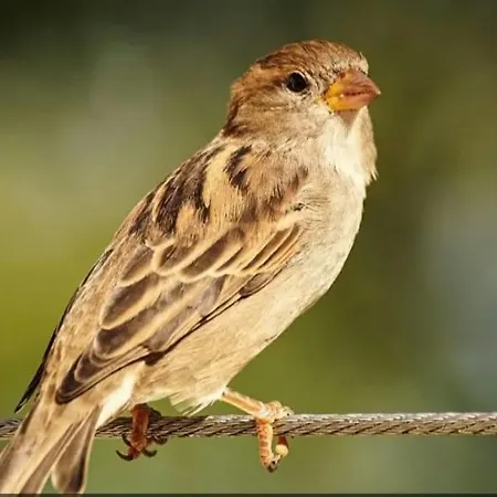 Hotel Calm & Nature - Adults Only Cabezón de Liébana