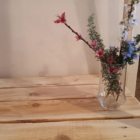 호텔 Calm & Nature - Adults Only