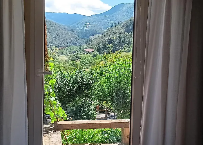 Calm & Nature - Adults Only