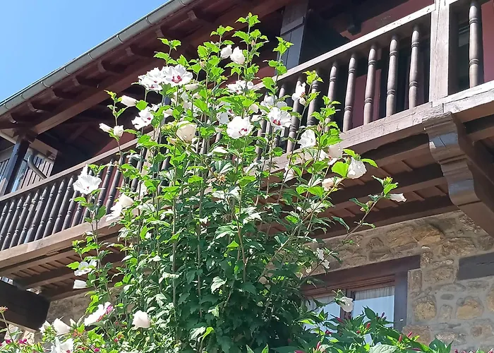 Hotel Calm & Nature - Adults Only