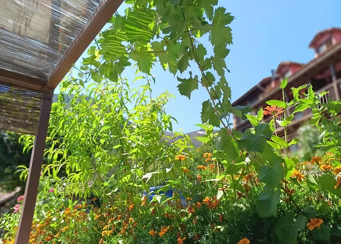 Calm & Nature - Adults Only 3* Cabezón de Liébana