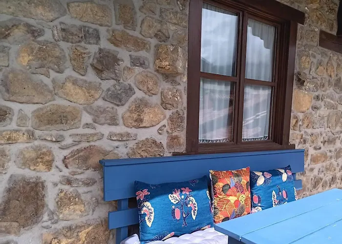 Calm & Nature - Adults Only