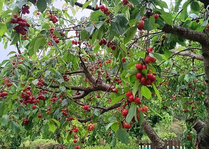 Calm & Nature - Adults Only