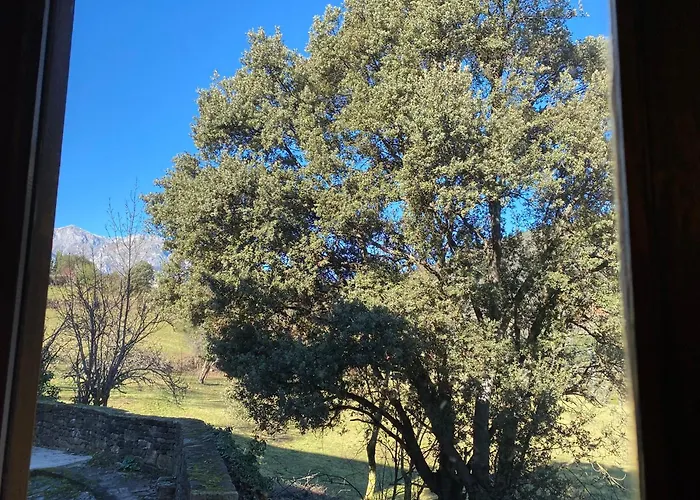 Calm & Nature - Adults Only