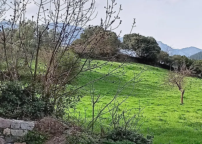 Calm & Nature - Adults Only