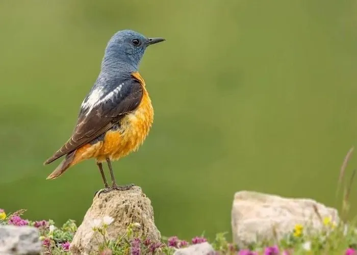 Calm & Nature - Adults Only Hotel Cabezón de Liébana