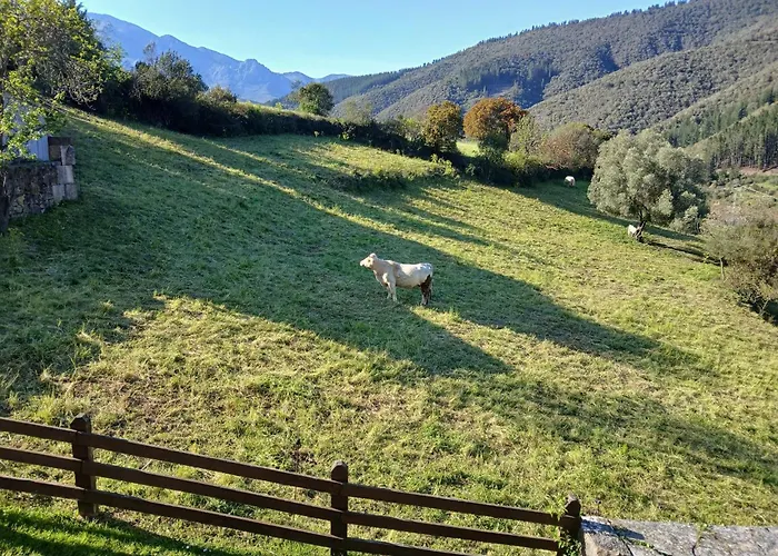 Calm & Nature - Adults Only