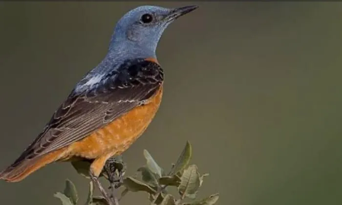 Calm & Nature - Adults Only 호텔