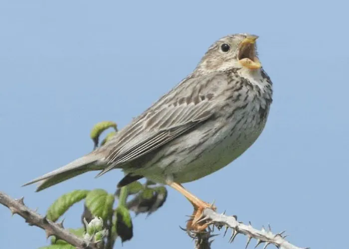 Calm & Nature - Adults Only Hotel Cabezón de Liébana