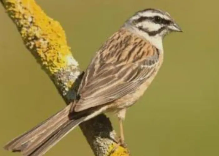 Calm & Nature - Adults Only 3*