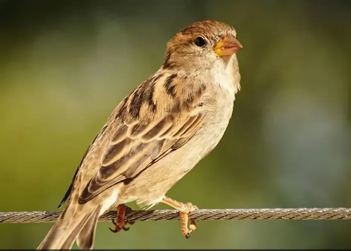 Hotel Calm & Nature - Adults Only Cabezon de Liebana