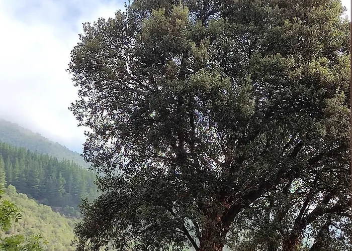 Hotel Calm & Nature - Adults Only Cabezón de Liébana