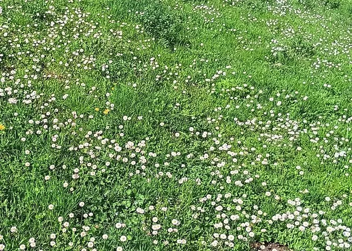 Calm & Nature - Adults Only 酒店