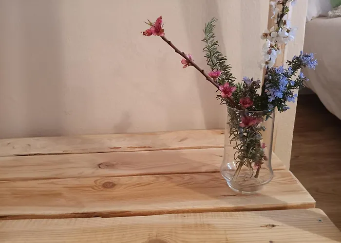 호텔 Calm & Nature - Adults Only