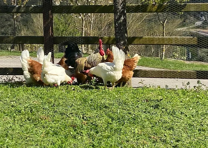 Calm & Nature - Adults Only 3*