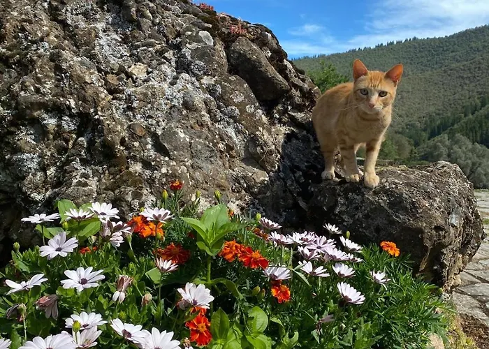 酒店 Calm & Nature - Adults Only Cabezón de Liébana